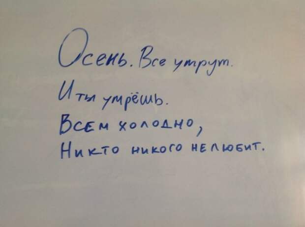 Забавные надписи и объявления