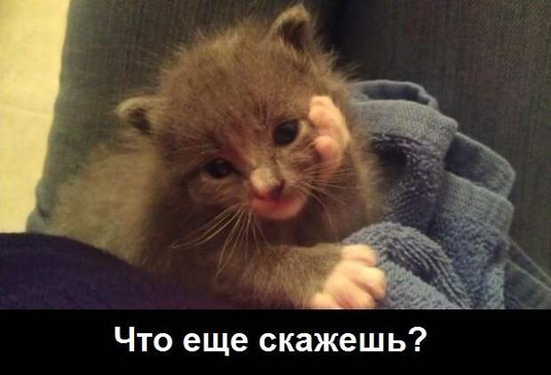 Всяко - разно 11 ))) Всяко - разно 11 )))