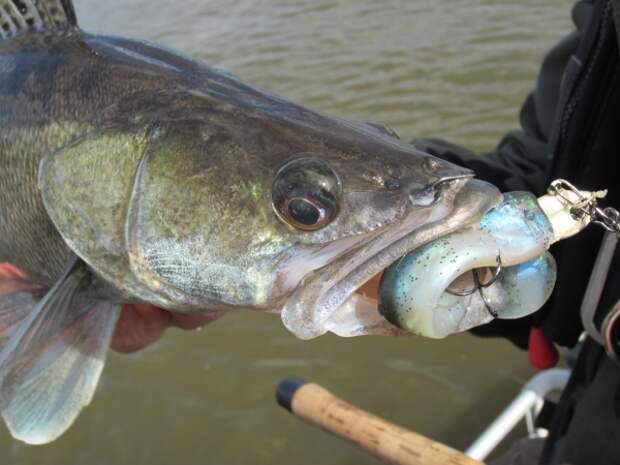 image sweden-fishing-0032-jpg