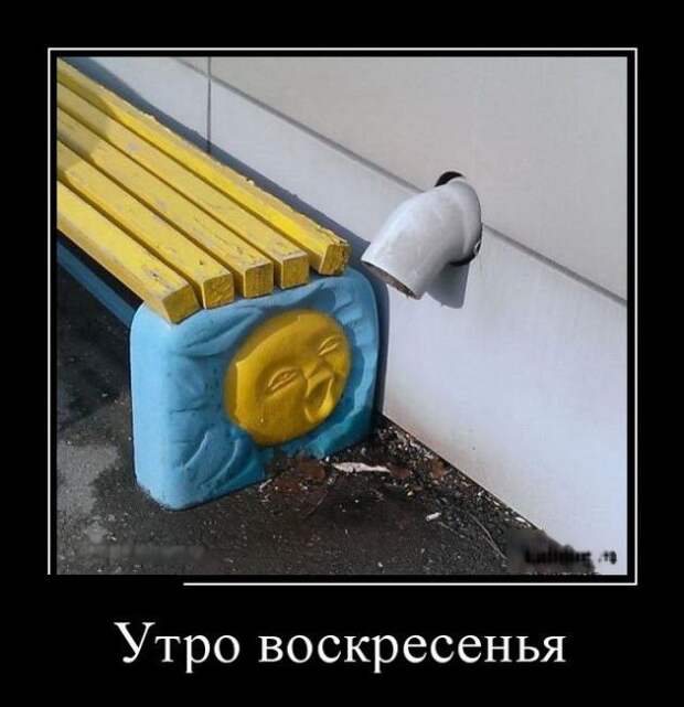 Демотиваторы