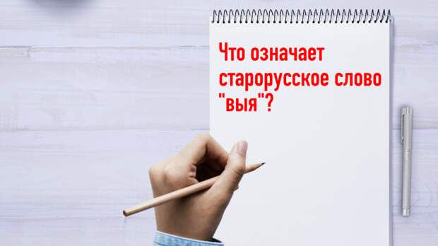 Сможете определить истинное значение этих старорусских слов?