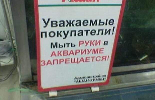 Креативные российские запреты и объявления (13 фото)