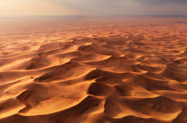Сахара: самая большая пустыня Африки