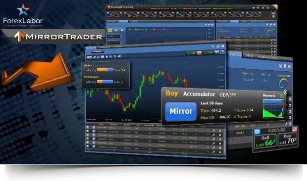 Free forex mirror trading sports betting legal in canada