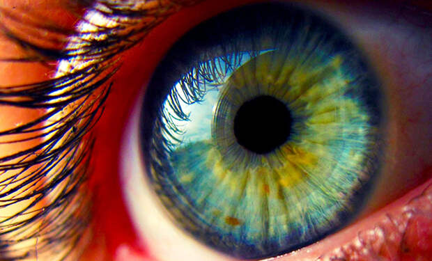 У немца нашли особенность глаз, которую ранее наука считала невозможной