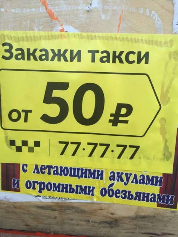 15 самых загадочных маразмов, найденных на просторах Интернета