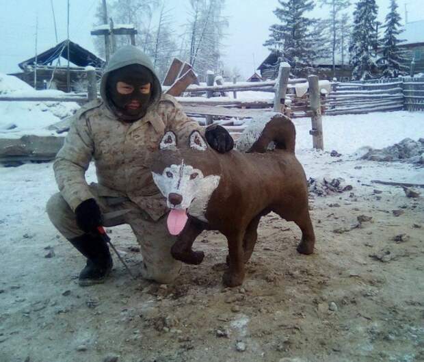Прикольные картинки