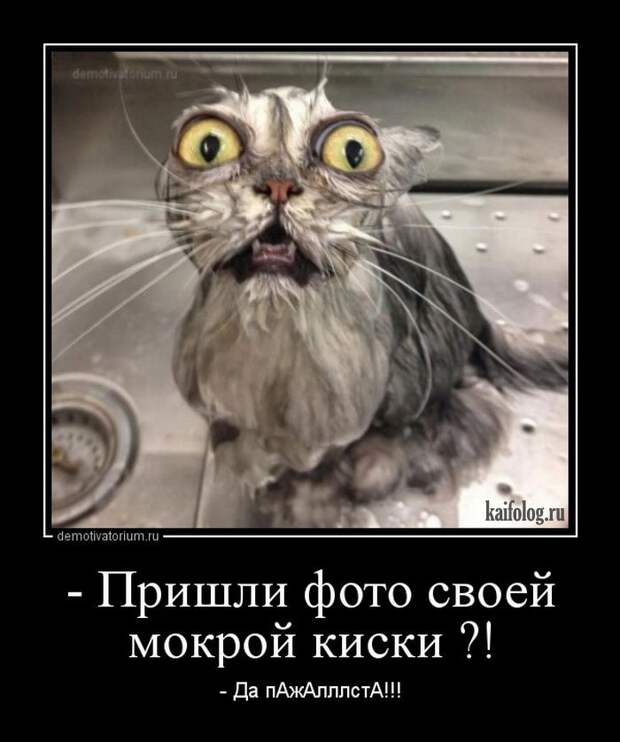 Демотиваторы - 248 (50 демотиваторов)