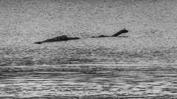 Кем на самом деле было лох-несское чудовище: последнее исследование