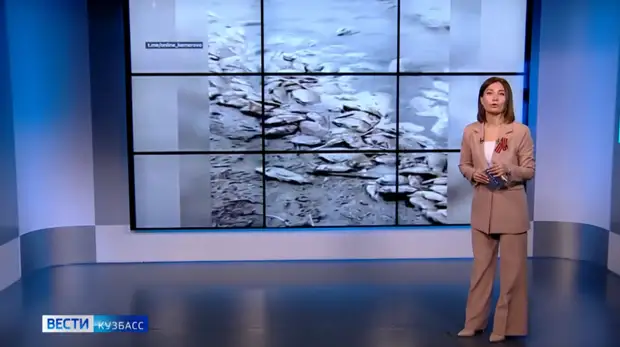 В Прокопьевском округе обнаружили берег, усыпанный мёртвой рыбой