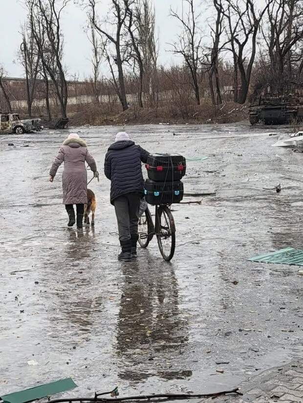 Константиновка, ДНР. Февраль 2026 года