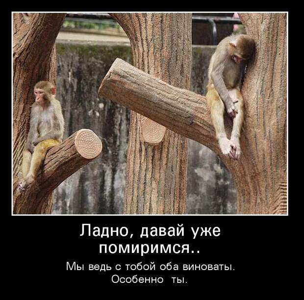images_36