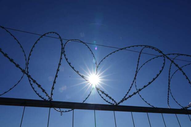 Фото: ИЗВЕСТИЯ/Дмитрий Коротаев