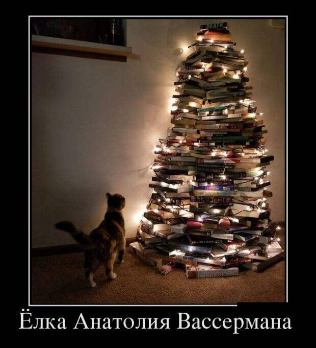 Демотиваторы (30 фото)