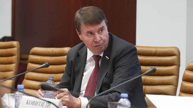 Сенатор Цеков: в конфликт на Украине вовлечены порядка 20 стран НАТО