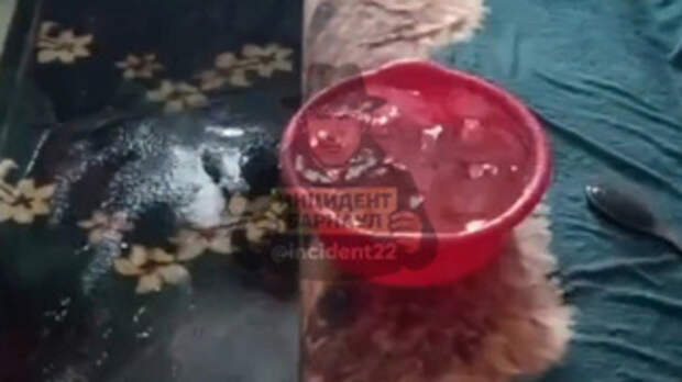 Затопление квартиры / Кадр из видео: 