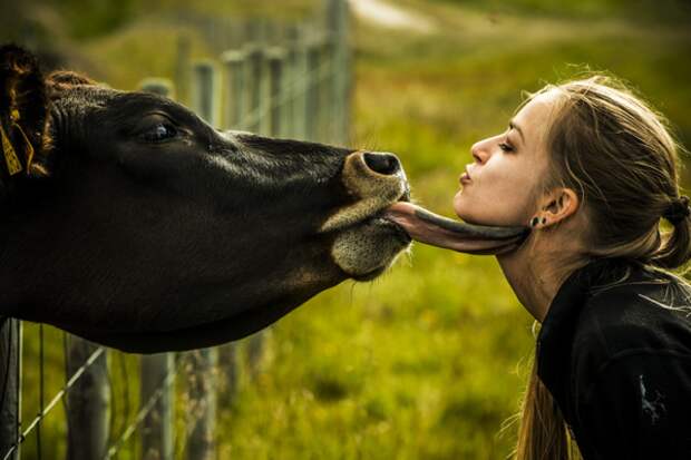 Do you speak English? Yes, I Муууууууу!
