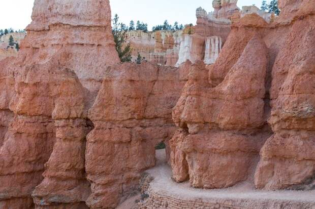 Каньон Брайс. Гигантский амфитеатр, созданный природой путешествия, факты, фото