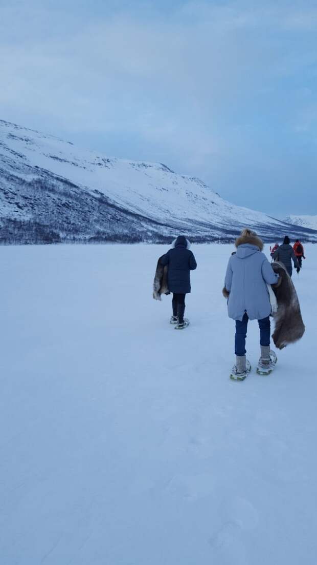 Организованной толпой, со шкурами, удочками и бурами мы идем на озеро. #Норвегия, #природа, #путешествия, #фото