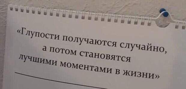 Прикольные картинки-21 фото-
