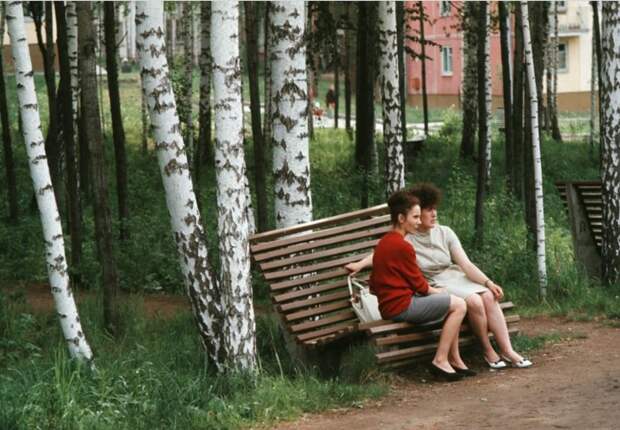 Две женщины сидят на скамейке в березовой роще
