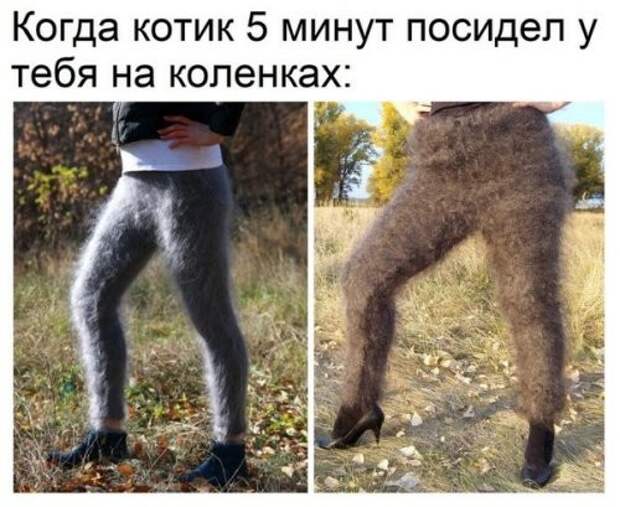 Фотомемы мемы, надписи, юмор