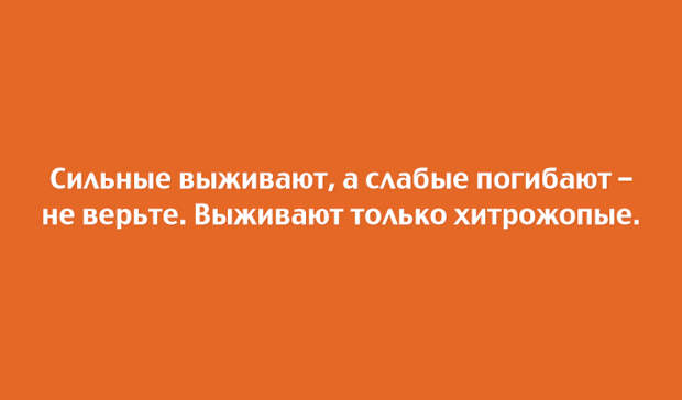 20 веселых открыток с неожиданной концовкой