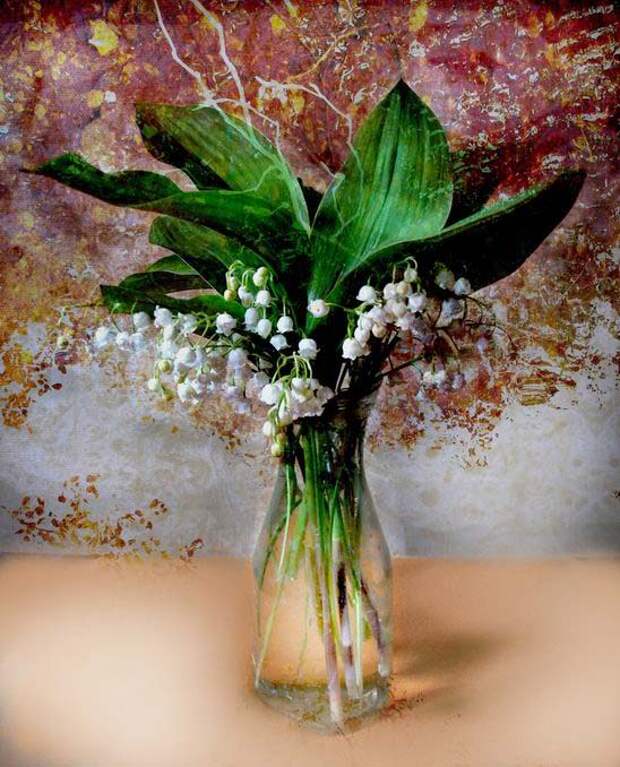 http://www.photohost.ru/pictures/149085.jpg
