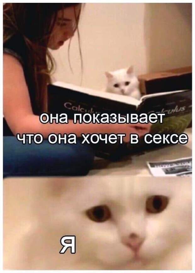 www.vsyako.net