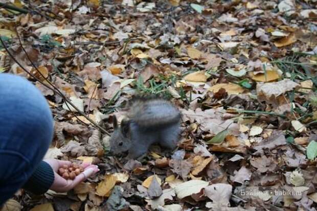 Мамина игрушка (69 фото) Мамина игрушка (69 фото)