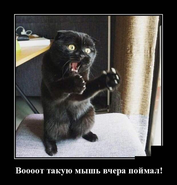 Демотиваторы (30 фото)