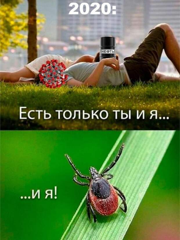 www.vsyako.net