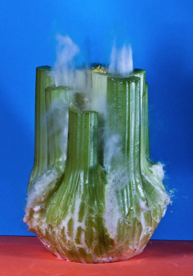 Взрывающиеся фрукты и овощи