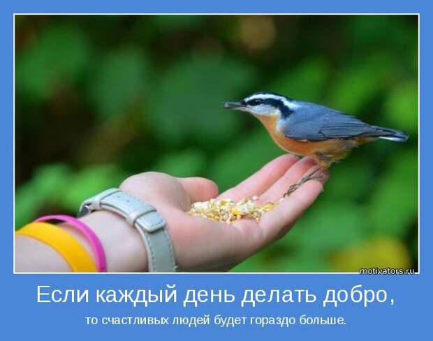 Сборник мотиваторов июля