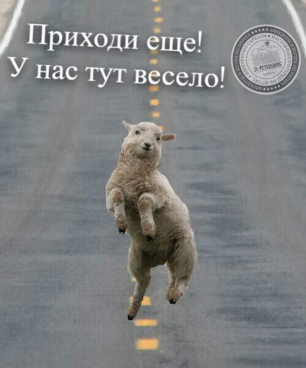 У нас весело