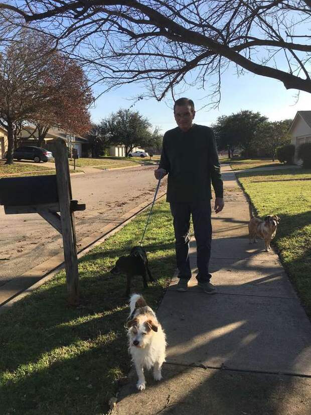 мужчина гуляет с собаками
