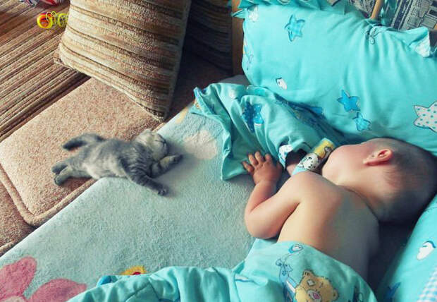 kids-animals-2.jpg kids-animals-2.jpg
