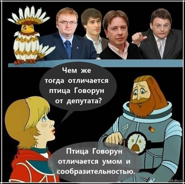 Птица говорун отличается умом и сообразительностью картинки