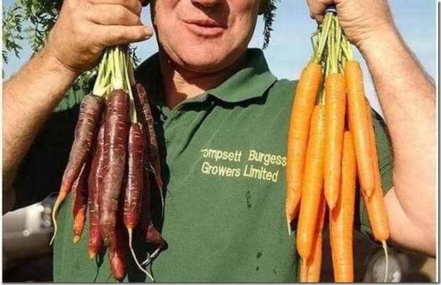 unusual-fruit-and-vegetables25