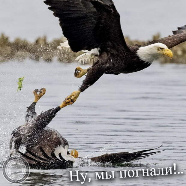 Ну, мы погнали!..