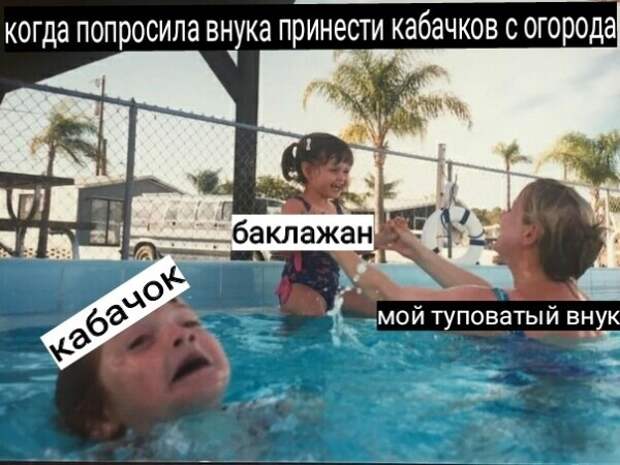 10 мемов для пенсионеров про урожай и тупого внука
