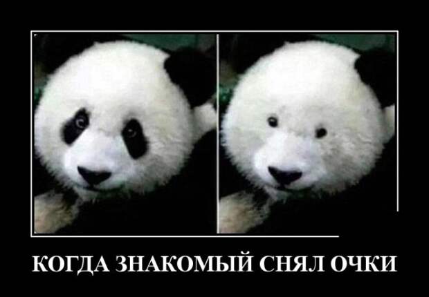 Самые новые демотиваторы  (30 фото)