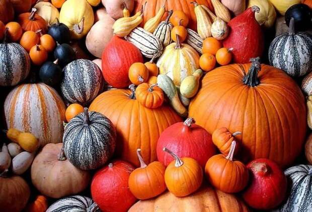 Буйство красок и цветов. \ Фото: prelest.com. Буйство красок и цветов. \ Фото: prelest.com.