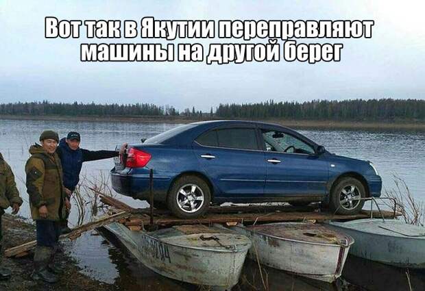 Подборка картинок. Вечерний выпуск (59 фото)