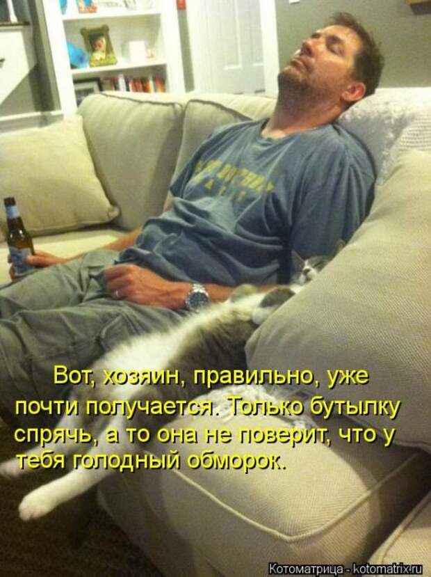 Лучшие котоматрицы недели Лучшие котоматрицы недели