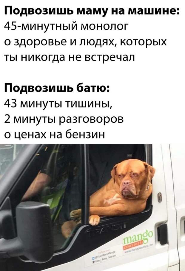 Смешные картинки 5 июля 2021