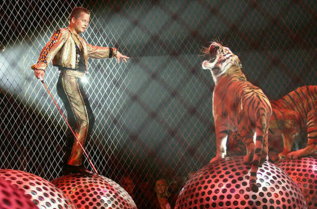 Циркам и зоопаркам придется увеличить штат юристов