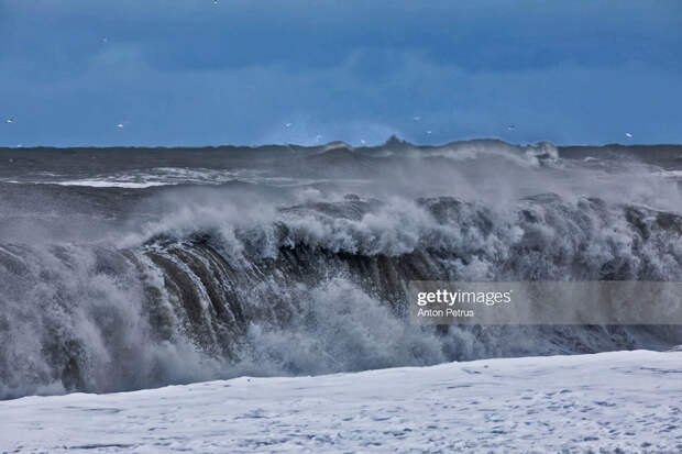 Black-Waves Black-Waves