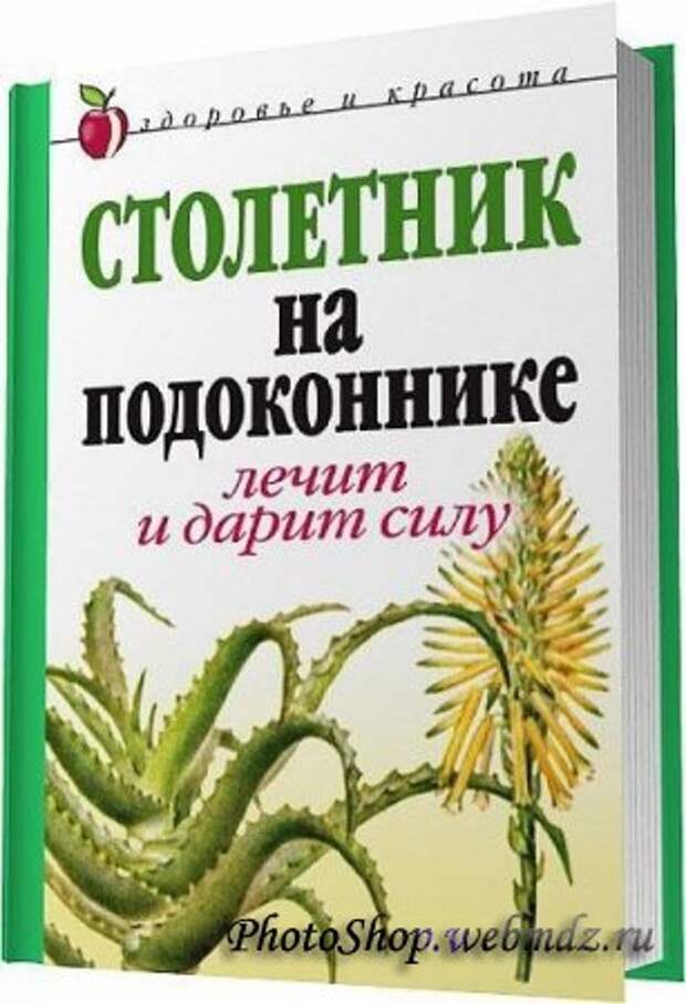 Столетник сочинение