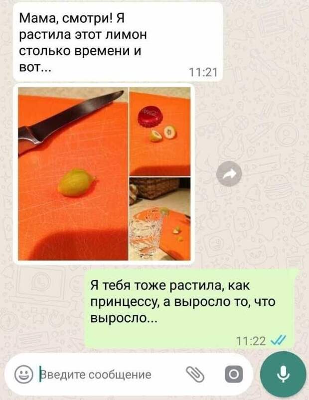 Отцы и дети, вечная сага Отцы и дети, вечная сага